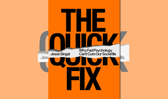 Book cover of The Quick Fix